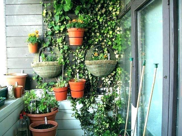 balcony vegetable garden ideas amazing balcony garden ideas vegetables apartment vegetable garden balcony vegetable garden ideas