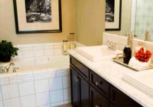 apartment bathroom decor ideas compact layouts little small remodel designs  rental bathr