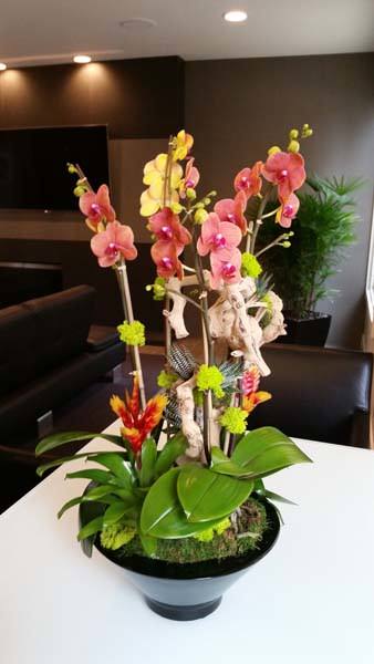 This design features four flowers of Hawaiʻi–the orchid, symbolizing  refinement and beauty, the bird of paradise, representing joy and