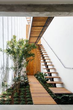 The hall at Bowood, with its cantilevered staircase, was converted from a dining room in the Fifties, under the direction of John Fowler