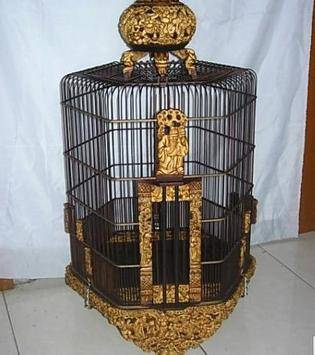 Bird Cage Brass & Onyx